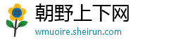 朝野上下网